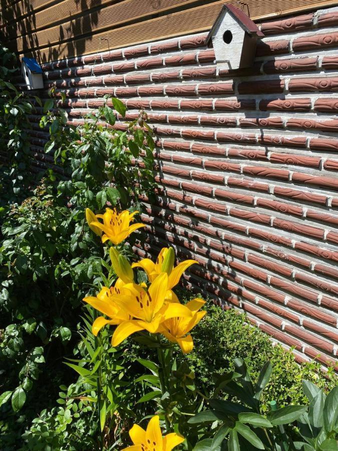 Hanok Guesthouse Suni Seul Dış mekan fotoğraf